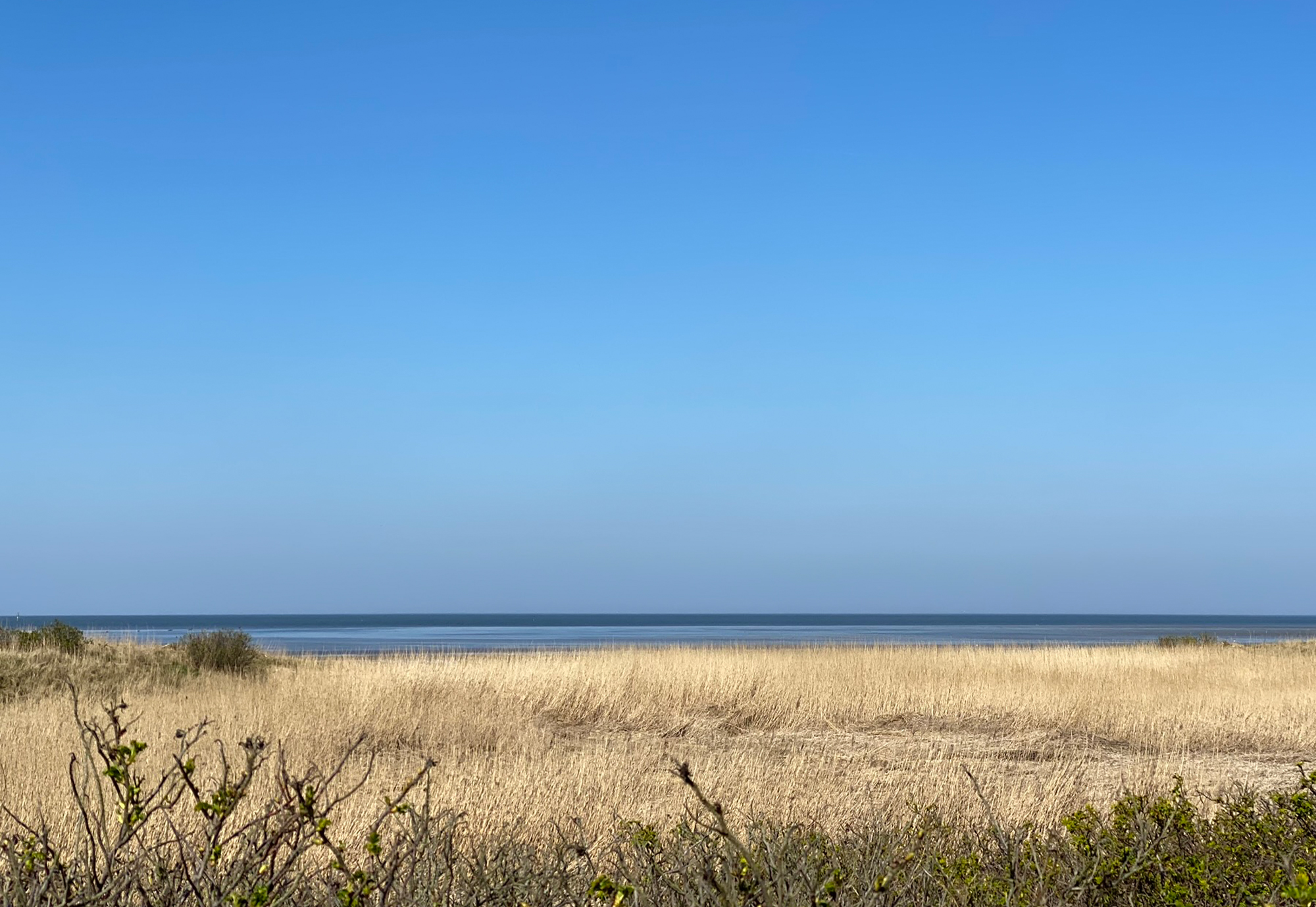 Strandhus-Hotel-Cuxhaven-Sahlenburg-umgebung-2.jpg